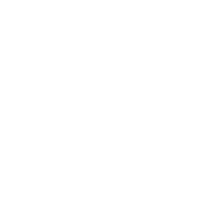 MASA Chips